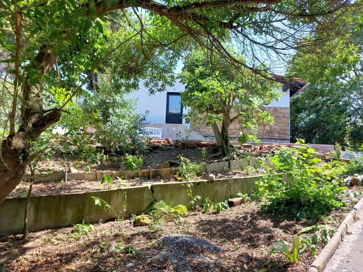 Getxo Garden Houses - The Suite Bagian luar foto